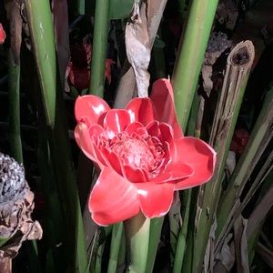 Meet your Posher, Lynn